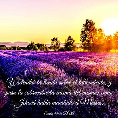 Picture 03 - Éxodo 40:19 RVA - Y extendió la tienda sobre el tabernáculo, y - Bible Verse Picture