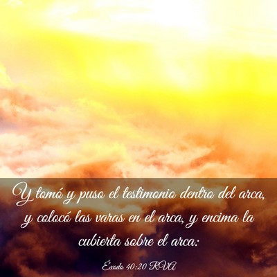 Picture 03 - Éxodo 40:20 RVA - Y tomó y puso el testimonio dentro del arca, y - Bible Verse Picture