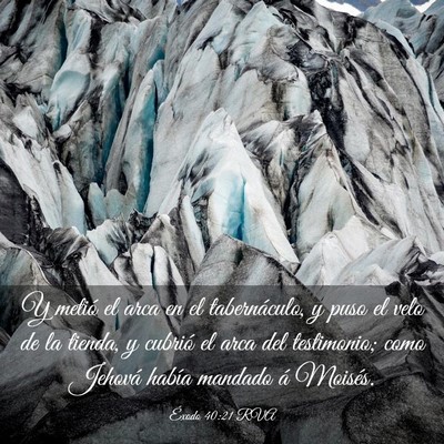 Picture 03 - Éxodo 40:21 RVA - Y metió el arca en el tabernáculo, y puso el - Bible Verse Picture