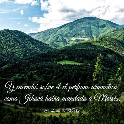 Picture 03 - Éxodo 40:27 RVA - Y encendió sobre él el perfume aromático; como - Bible Verse Picture