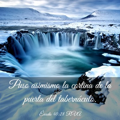 Picture 03 - Éxodo 40:28 RVA - Puso asimismo la cortina de la puerta del - Bible Verse Picture