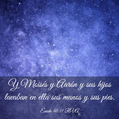 Picture 03 - Éxodo 40:31 RVA - Y Moisés y Aarón y sus hijos lavaban en ella - Bible Verse Picture