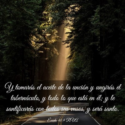 Picture 03 - Éxodo 40:9 RVA - Y tomarás el aceite de la unción y ungirás el - Bible Verse Picture
