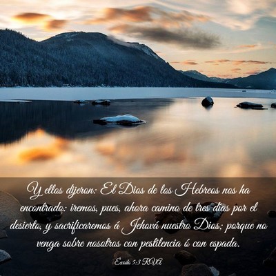 Picture 03 - Éxodo 5:3 RVA - Y ellos dijeron: El Dios de los Hebreos nos ha - Bible Verse Picture