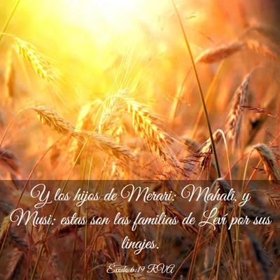 Picture 03 - Éxodo 6:19 RVA - Y los hijos de Merari: Mahali, y Musi: estas son - Bible Verse Picture