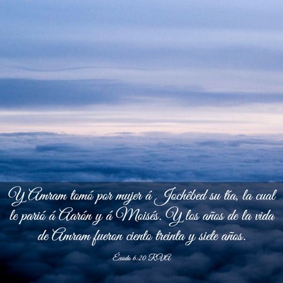 Picture 03 - Éxodo 6:20 RVA - Y Amram tomó por mujer á Jochêbed su tía, la - Bible Verse Picture