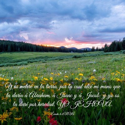 Picture 03 - Éxodo 6:8 RVA - Y os meteré en la tierra, por la cual alcé mi - Bible Verse Picture