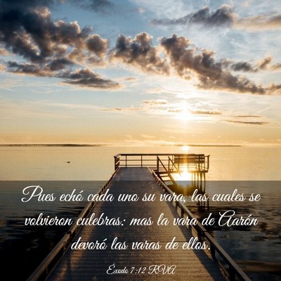 Picture 03 - Éxodo 7:12 RVA - Pues echó cada uno su vara, las cuales se - Bible Verse Picture