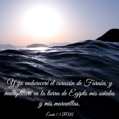 Picture 03 - Éxodo 7:3 RVA - Y yo endureceré el corazón de Faraón, y - Bible Verse Picture