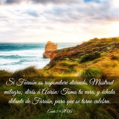 Picture 03 - Éxodo 7:9 RVA - Si Faraón os respondiere diciendo, Mostrad - Bible Verse Picture
