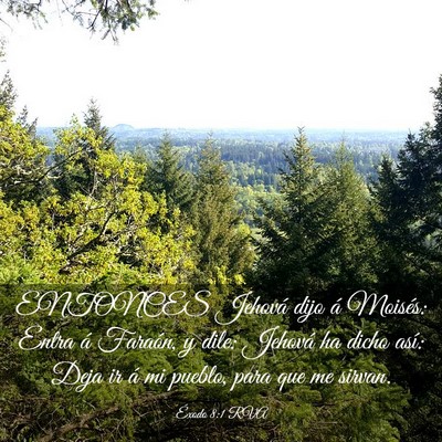 Picture 03 - Éxodo 8:1 RVA - ENTONCES Jehová dijo á Moisés: Entra á - Bible Verse Picture