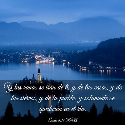 Picture 03 - Éxodo 8:11 RVA - Y las ranas se irán de ti, y de tus casas, y de - Bible Verse Picture