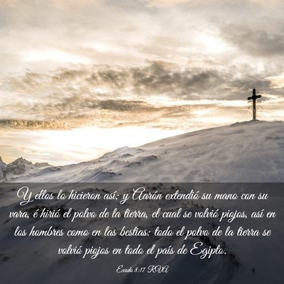 Picture 03 - Éxodo 8:17 RVA - Y ellos lo hicieron así; y Aarón extendió su - Bible Verse Picture