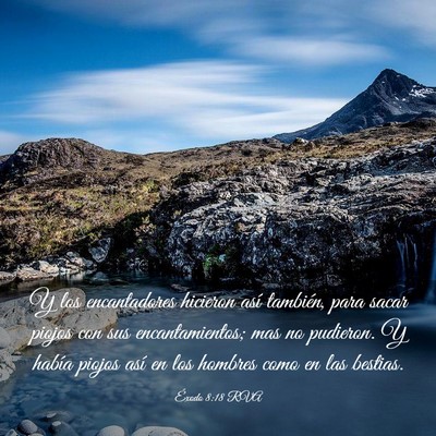 Picture 03 - Éxodo 8:18 RVA - Y los encantadores hicieron así también, para - Bible Verse Picture