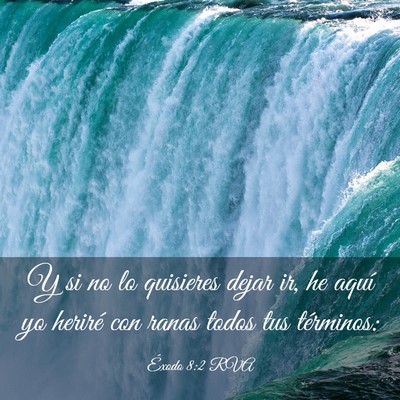 Picture 03 - Éxodo 8:2 RVA - Y si no lo quisieres dejar ir, he aquí yo - Bible Verse Picture