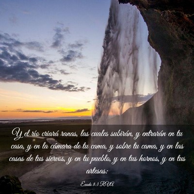 Picture 03 - Éxodo 8:3 RVA - Y el río criará ranas, las cuales subirán, y - Bible Verse Picture