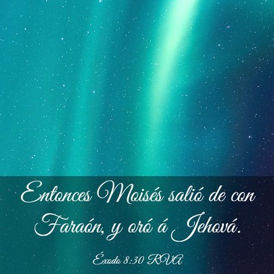 Picture 03 - Éxodo 8:30 RVA - Entonces Moisés salió de con Faraón, y oró á - Bible Verse Picture