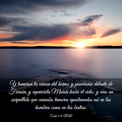 Picture 03 - Éxodo 9:10 RVA - Y tomaron la ceniza del horno, y pusiéronse - Bible Verse Picture