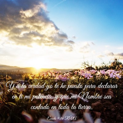 Picture 03 - Éxodo 9:16 RVA - Y á la verdad yo te he puesto para declarar en - Bible Verse Picture