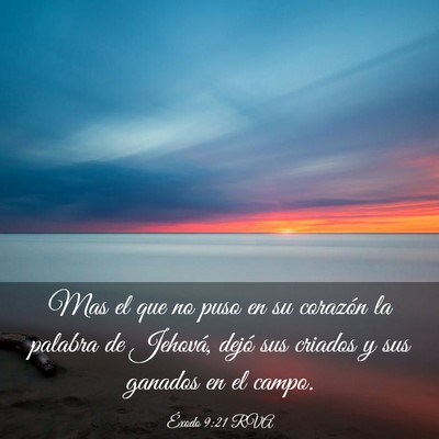 Picture 03 - Éxodo 9:21 RVA - Mas el que no puso en su corazón la palabra de - Bible Verse Picture
