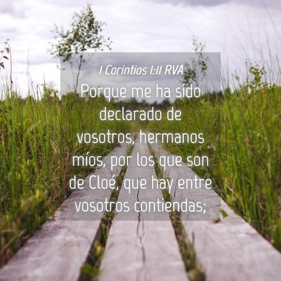 Picture 04 - 1 Corintios 1:11 RVA - Porque me ha sido declarado de vosotros, hermanos - Bible Verse Picture