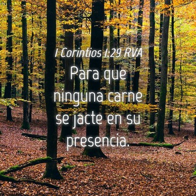 Picture 04 - 1 Corintios 1:29 RVA - Para que ninguna carne se jacte en su - Bible Verse Picture