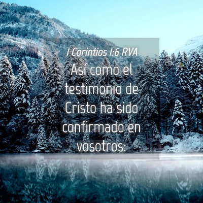 Picture 04 - 1 Corintios 1:6 RVA - Así como el testimonio de Cristo ha sido - Bible Verse Picture