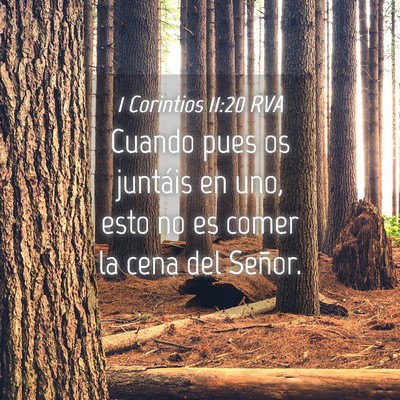 Picture 04 - 1 Corintios 11:20 RVA - Cuando pues os juntáis en uno, esto no es comer - Bible Verse Picture