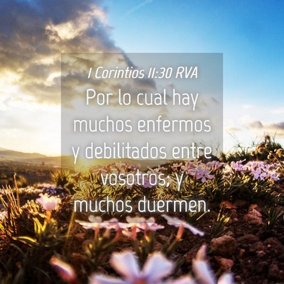 Picture 04 - 1 Corintios 11:30 RVA - Por lo cual hay muchos enfermos y debilitados - Bible Verse Picture