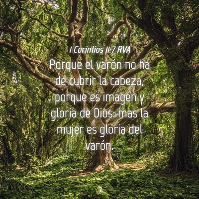 Picture 04 - 1 Corintios 11:7 RVA - Porque el varón no ha de cubrir la cabeza, - Bible Verse Picture