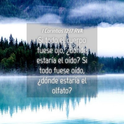 Picture 04 - 1 Corintios 12:17 RVA - Si todo el cuerpo fuese ojo, ¿dónde estaría el - Bible Verse Picture