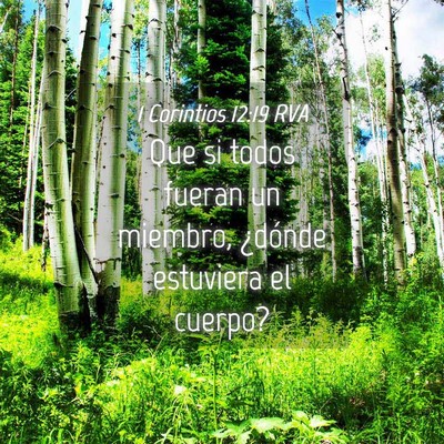 Picture 04 - 1 Corintios 12:19 RVA - Que si todos fueran un miembro, ¿dónde - Bible Verse Picture
