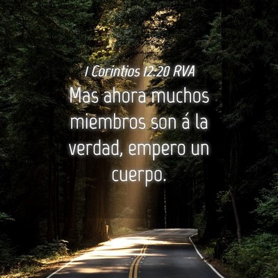 Picture 04 - 1 Corintios 12:20 RVA - Mas ahora muchos miembros son á la verdad, - Bible Verse Picture