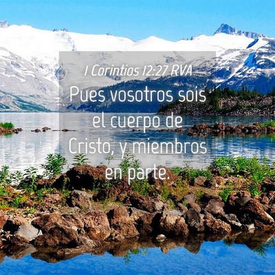 Picture 04 - 1 Corintios 12:27 RVA - Pues vosotros sois el cuerpo de Cristo, y - Bible Verse Picture