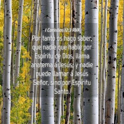 Picture 04 - 1 Corintios 12:3 RVA - Por tanto os hago saber, que nadie que hable por - Bible Verse Picture