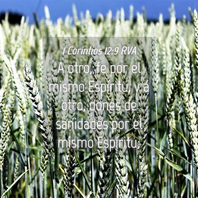 Picture 04 - 1 Corintios 12:9 RVA - A otro, fe por el mismo Espíritu, y á otro, - Bible Verse Picture