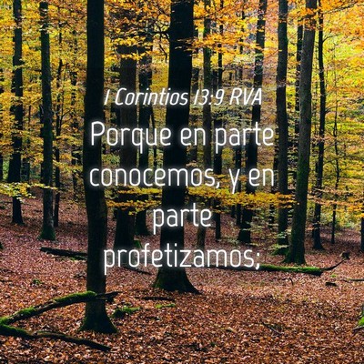 Picture 04 - 1 Corintios 13:9 RVA - Porque en parte conocemos, y en parte - Bible Verse Picture
