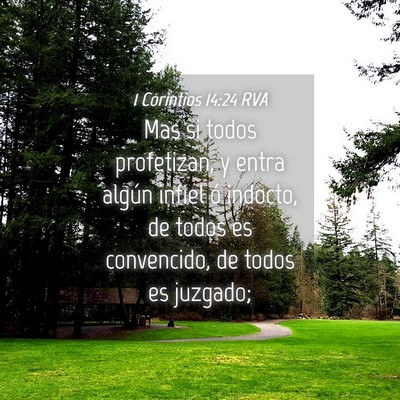 Picture 04 - 1 Corintios 14:24 RVA - Mas si todos profetizan, y entra algún infiel ó - Bible Verse Picture