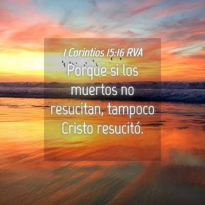 Picture 04 - 1 Corintios 15:16 RVA - Porque si los muertos no resucitan, tampoco - Bible Verse Picture