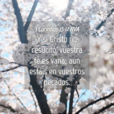 Picture 04 - 1 Corintios 15:17 RVA - Y si Cristo no resucitó, vuestra fe es vana; aun - Bible Verse Picture