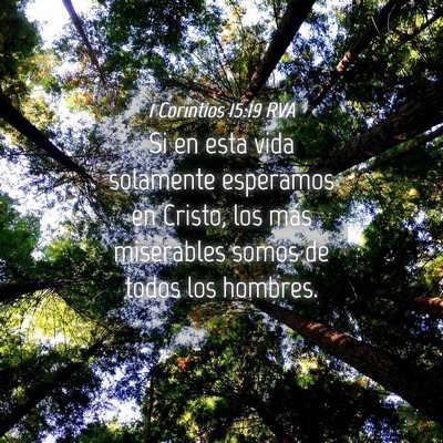 Picture 04 - 1 Corintios 15:19 RVA - Si en esta vida solamente esperamos en Cristo, - Bible Verse Picture