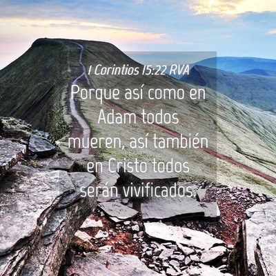 Picture 04 - 1 Corintios 15:22 RVA - Porque así como en Adam todos mueren, así - Bible Verse Picture