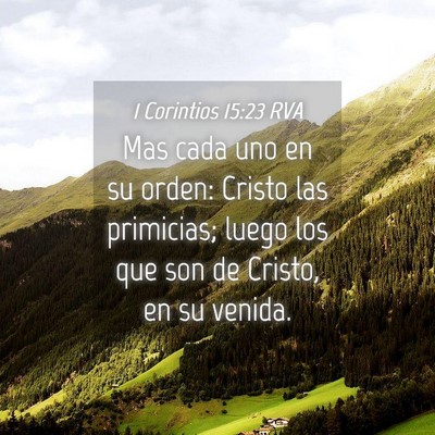 Picture 04 - 1 Corintios 15:23 RVA - Mas cada uno en su orden: Cristo las primicias; - Bible Verse Picture