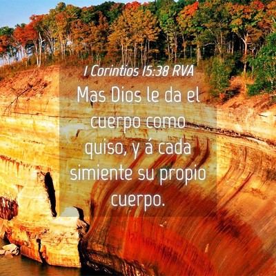 Picture 04 - 1 Corintios 15:38 RVA - Mas Dios le da el cuerpo como quiso, y á cada - Bible Verse Picture