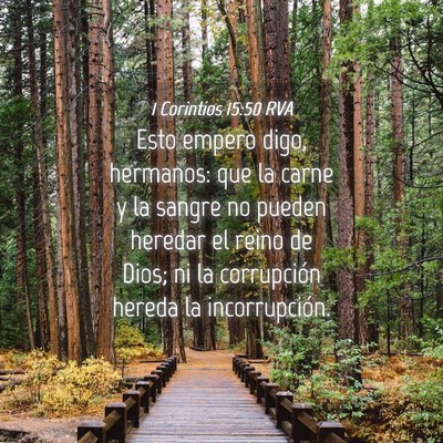 Picture 04 - 1 Corintios 15:50 RVA - Esto empero digo, hermanos: que la carne y la - Bible Verse Picture