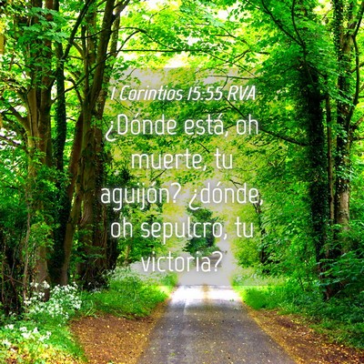 Picture 04 - 1 Corintios 15:55 RVA - ¿Dónde está, oh muerte, tu aguijón? ¿dónde, - Bible Verse Picture