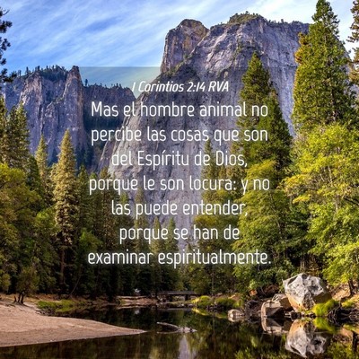Picture 04 - 1 Corintios 2:14 RVA - Mas el hombre animal no percibe las cosas que son - Bible Verse Picture