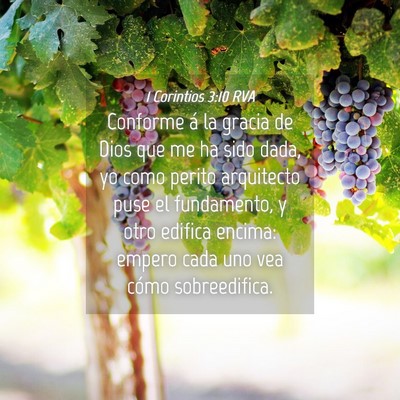 Picture 04 - 1 Corintios 3:10 RVA - Conforme á la gracia de Dios que me ha sido - Bible Verse Picture