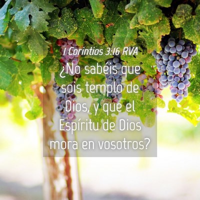 Picture 04 - 1 Corintios 3:16 RVA - ¿No sabéis que sois templo de Dios, y que el - Bible Verse Picture