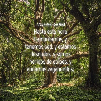 Picture 04 - 1 Corintios 4:11 RVA - Hasta esta hora hambreamos, y tenemos sed, y - Bible Verse Picture